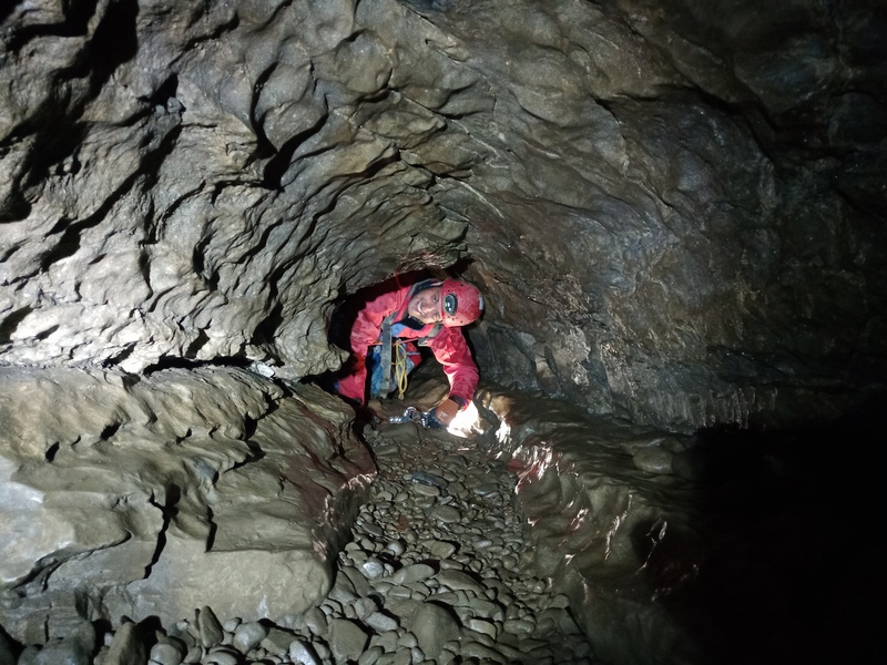 Thumbnail of photo from this article